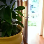 アパート Casa Del Padre - Annabelle