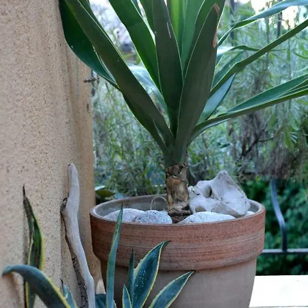 Casa Del Padre - Annabelle Rijeka