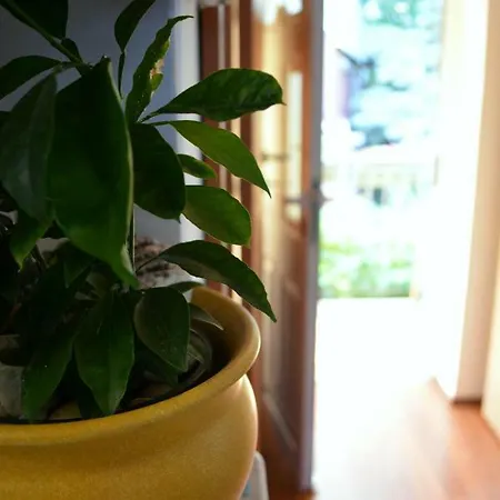 Apartment Casa Del Padre - Annabelle