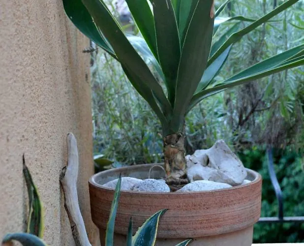 Casa Del Padre - Annabelle Fiume